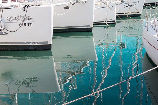 boats in water